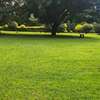 0.75 ac Land at Kunde Rd thumb 0