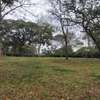 4 ACRES LAND FOR SALE IN ROSSYLYN ESTATE. thumb 2