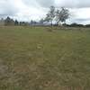 5 ac residential land for sale in Ongata Rongai thumb 11
