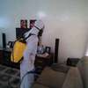 Fumigation and Pest Control Services Kahawa West thumb 0
