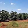 850 ac Land in Juja thumb 0