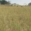 0.25 ac Residential Land in Ngong thumb 6