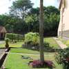 Office with Fibre Internet in Hurlingham thumb 3