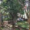 929 m² commercial property for rent in Lavington thumb 19