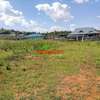 0.05 ha Residential Land at Lusigetti thumb 11