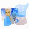Professional Facial Steamer With Nose Mask thumb 1