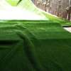 Smart grass carpet. thumb 1