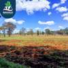 1 ac Land at Riara Ridge thumb 4