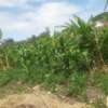 Quarter Acre Land for sale at Syokimau thumb 7