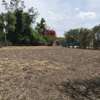 0.25 ac Land in Ruai thumb 3