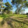 Residential Land in Nyali Area thumb 3