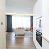 Furnished 1 Bed Apartment with En Suite in Mombasa Road thumb 13