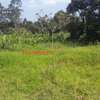 4,000 m² Land in Kikuyu Town thumb 1