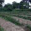 80,940 m² Commercial Land in Kwale County thumb 12