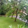 Furnished 3 Bed Apartment with Swimming Pool in Riverside thumb 3