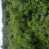 PRIME LAND AT The NEW GOVERNOR'S OFFICE HOMA BAY thumb 3