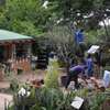 Gardening Services Nairobi /Landscape & Garden Designs thumb 13