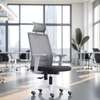 Office Chairs:Ergonomic High-Back Office Chair In Suneka thumb 4