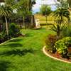 Professional Gardeners for Hire in Ruiru, Juja & Thika thumb 1