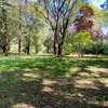 1.6 m² Land at Windy Ridge thumb 6