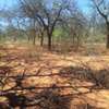 64 acres along Makindu-Wote Road Makueni County thumb 6