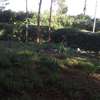 405 m² residential land for sale in Ngong thumb 4