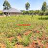 0.05 ha Residential Land in Gikambura thumb 16