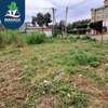0.125 ac Commercial Land at Muchatha thumb 1