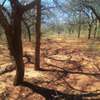 70 acres along Makindu-Wote Rd Makueni County thumb 6