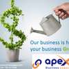 Apex Business Pages thumb 1