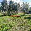 0.05 ha Residential Land at Lusigetti thumb 10