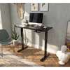 Office Desk; 1.2 M Electric Adjustable Standing Desk thumb 1