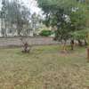 1/2 acre for sale Karen off ndege road thumb 2