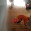 WALL TO WALL CARPET CLEANING & DRYING NAIROBI. thumb 0