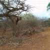 50 acres near ikoyo primary school makindu makueni county thumb 2