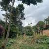 0.9 ac Land in Westlands Area thumb 5