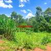 0.1 ha Commercial Land at Mwimuto thumb 3