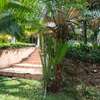 5 Bed Villa with En Suite at Lavington thumb 1