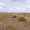 50 by 100 and 1 Acres in Nanyuki thumb 0