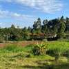 6,000 m² Land in Limuru thumb 19