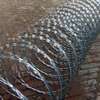 730mm 450mm Barbed wire & Razor wire supply  in Kenya thumb 7