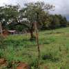 0.05 ha Land in Kikuyu Town thumb 5