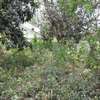 1618 m² land for sale in Kilimani thumb 3