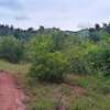 Prime Fertile Land in Ithanga, Murang'a, Near Kakuzi thumb 4