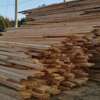Prime pine timber for sale thumb 0