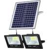 300w solar floodlight Automatic (2 Lights, 1 Solar Panel) thumb 0