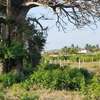 506 m² land for sale in Malindi Town thumb 0