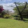 3 Bed House with Garden at Lewa thumb 9
