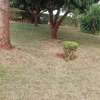 0.25 ac Land in Thika thumb 0