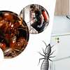 Bed Bug Treatment | Experienced Pest Control Technicians. Fast Response. Call Today For A Quote. No-nonsense. Modern Techniques. Non-Toxic Monitoring. thumb 5